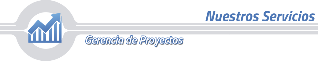 banner-gerencia-proyectos-c.png