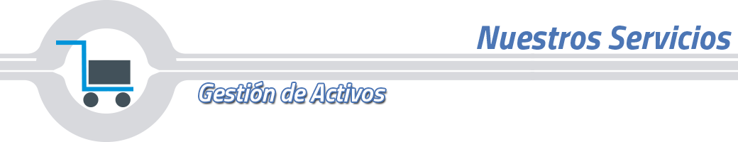 banner-gestion-activos.png
